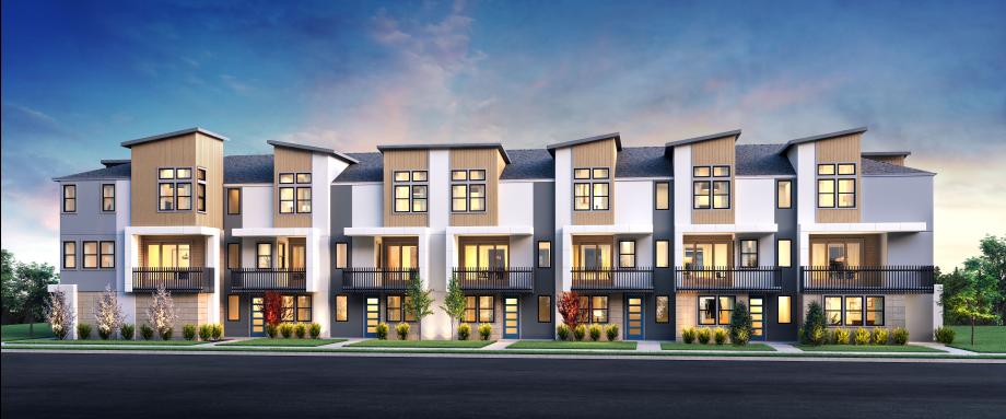 Toll Brothers - Leona Contemporary