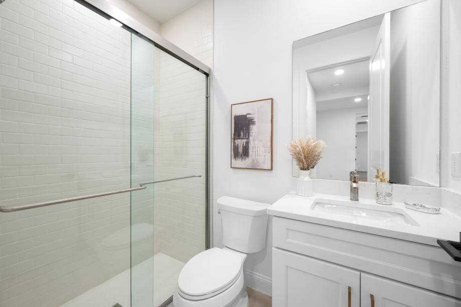 Secondary bath with modern finishes