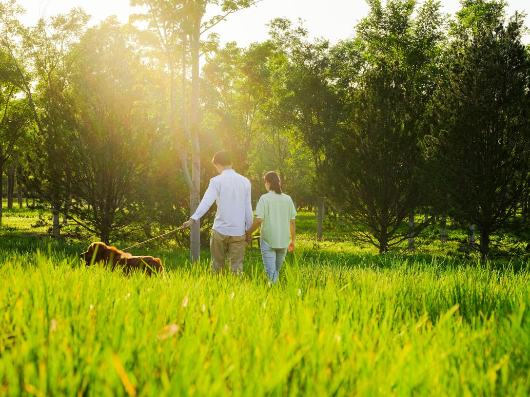 Walking trails offer plenty of outdoor recreation