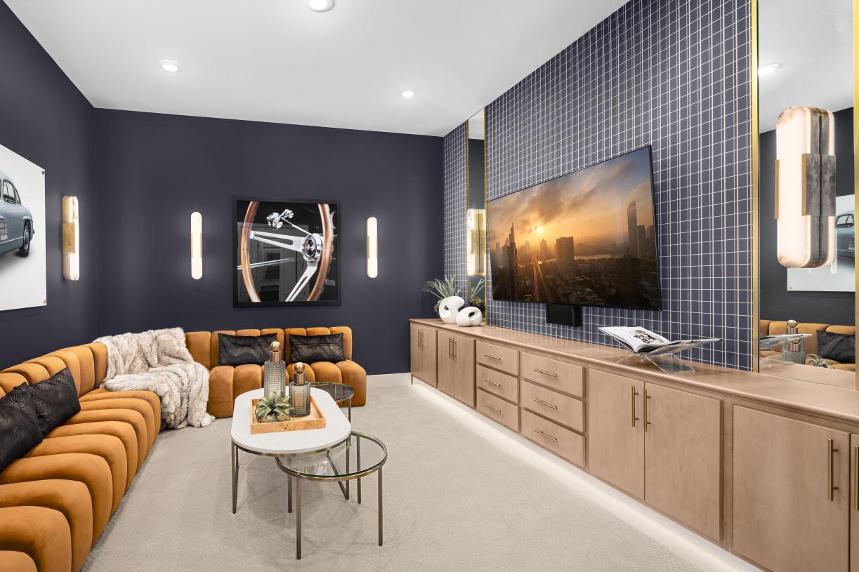 Versatile media rooms