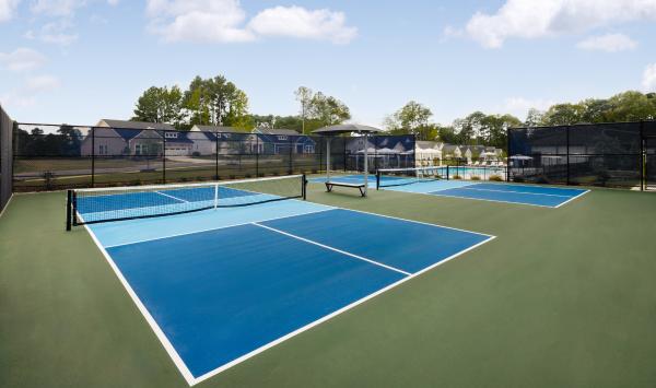 Play a game of pickleball on one of the private courts