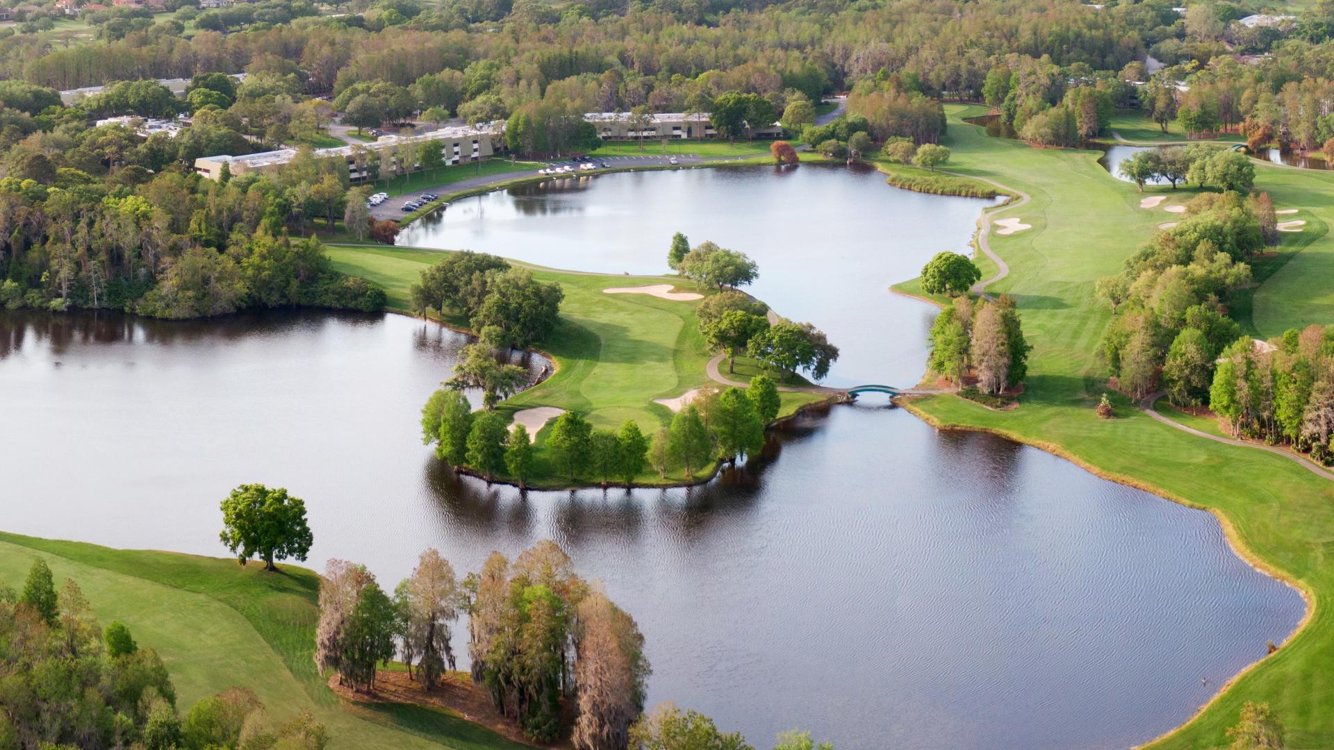 Montrose at Innisbrook - Townes Collection