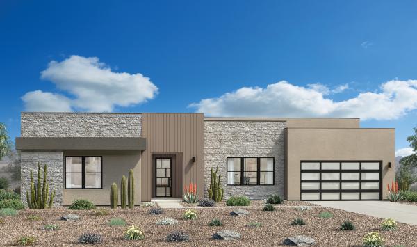 Desert Contemporary