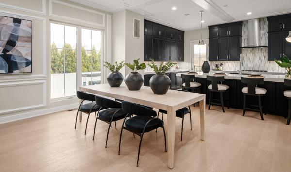 Open concept living level