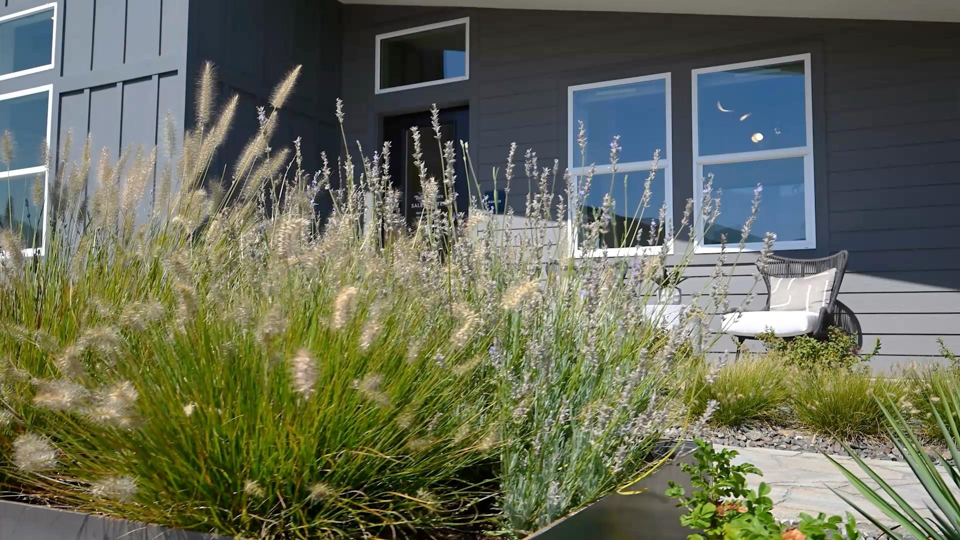 We need a title here