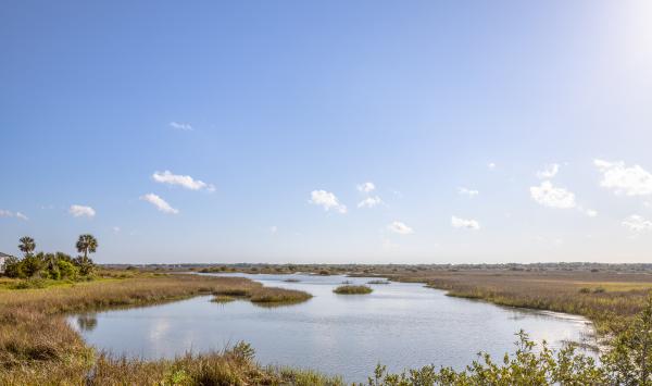 Gorgeous intracoastal marsh views