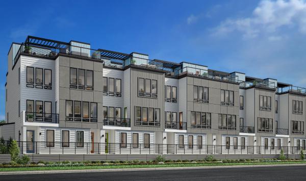 Modern Coastal