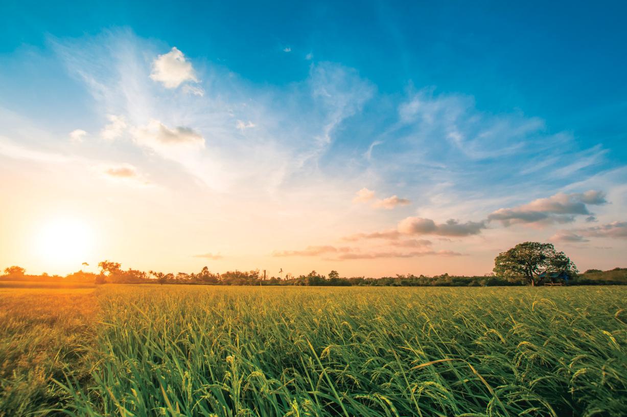 Tranquil, small-town living with all the conveniences that Leander has to offer