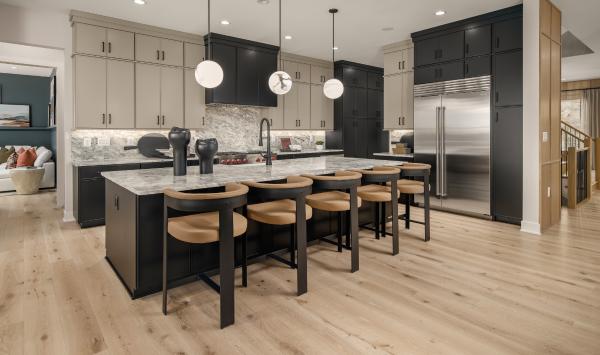 Kalorama gourmet kitchen design