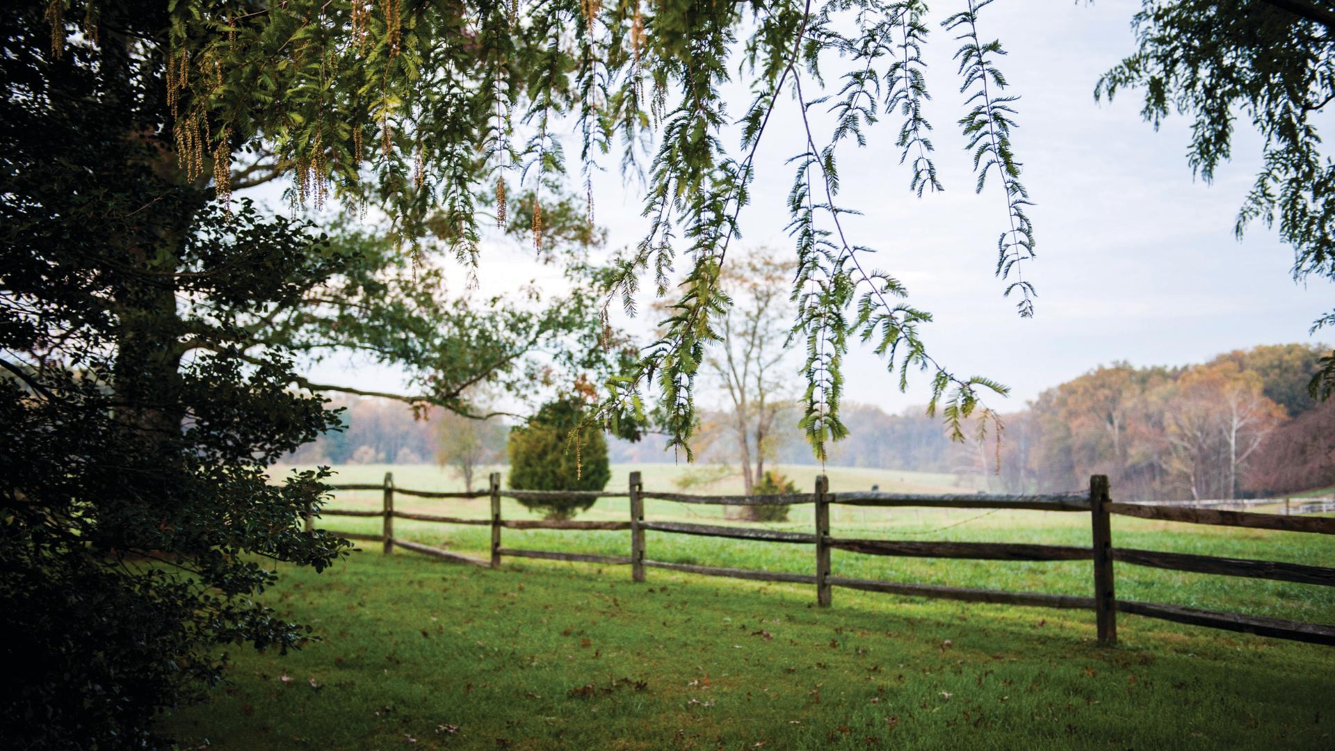 Riverfield Estates