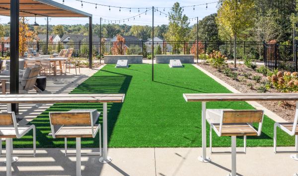 Representative Image: Green Space