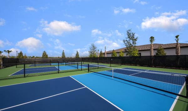 Pickleball courts perfect for a friendly match