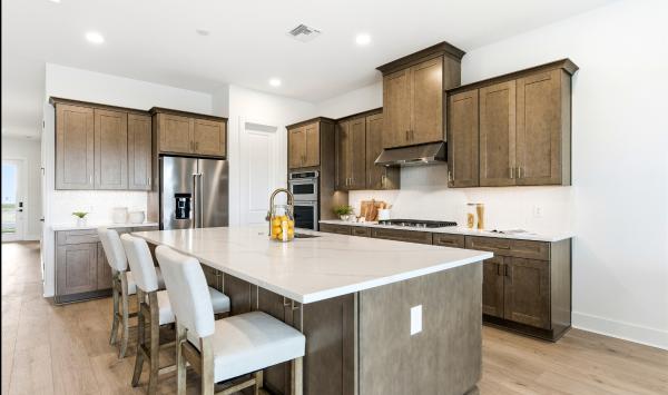 Gourmet kitchen with ample counter and cabinet space
