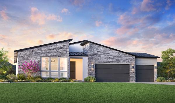 Mountain Modern