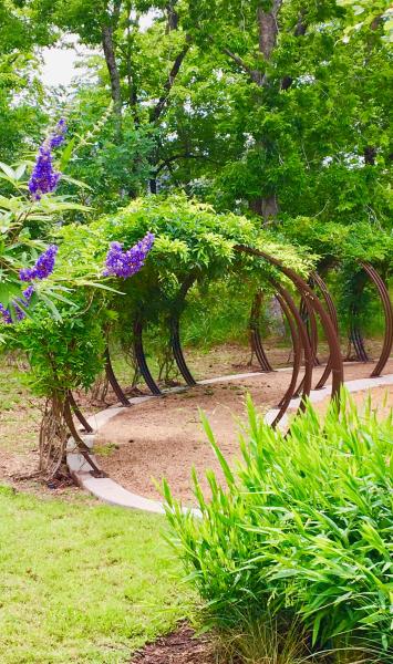 Explore miles of scenic walking trails that wind throughout the entire Sienna community, perfect for morning strolls, afternoon walks, or connecting with neighbors along the way