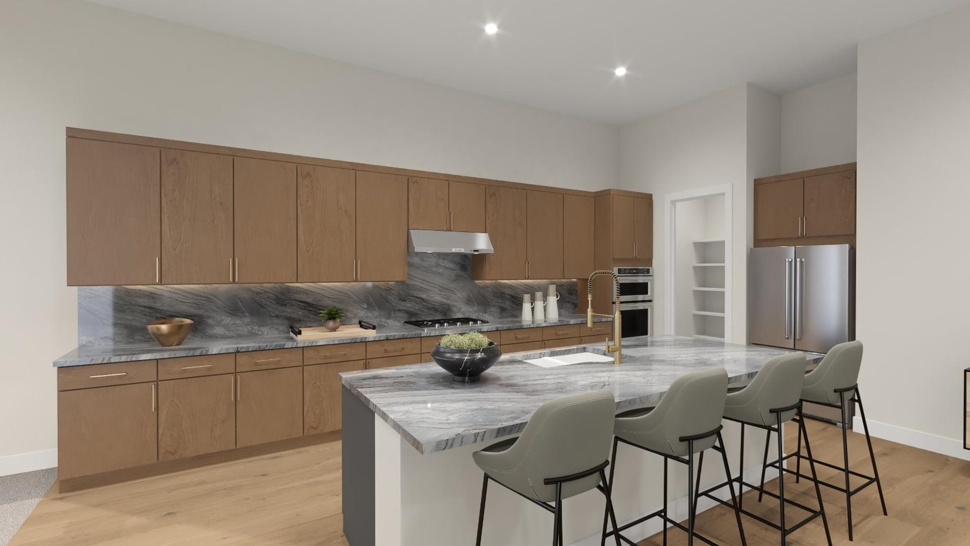 Atley Mountain Modern Walk Through