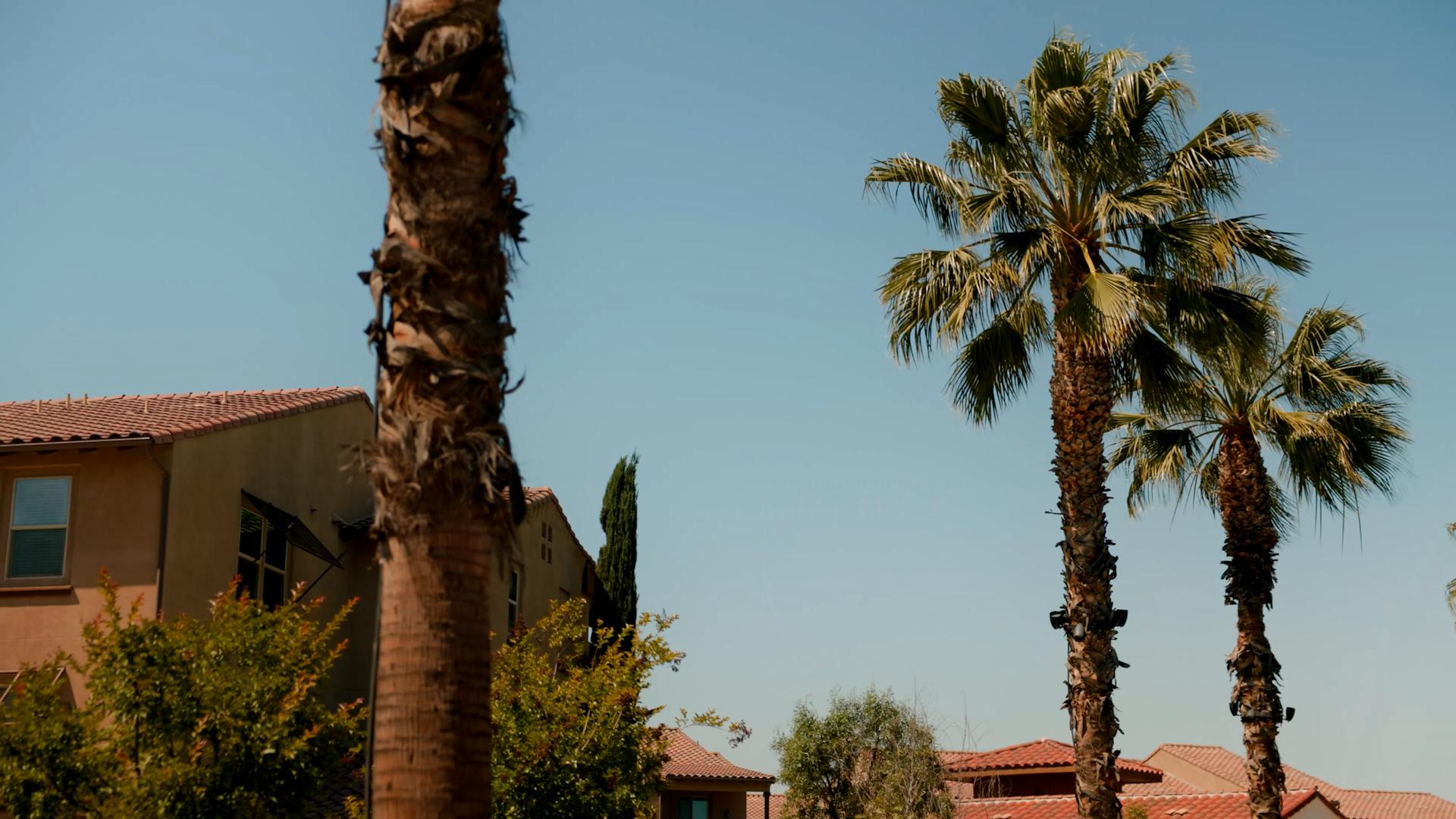 We need a title here