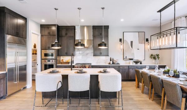 Gourmet kitchen with large central island