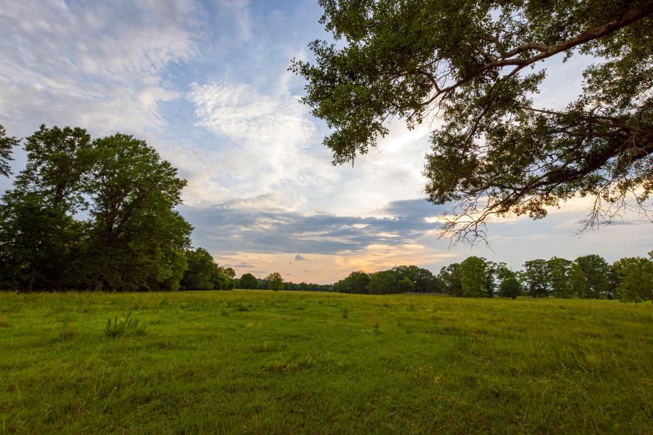 Peapack Crossing - Signature Collection