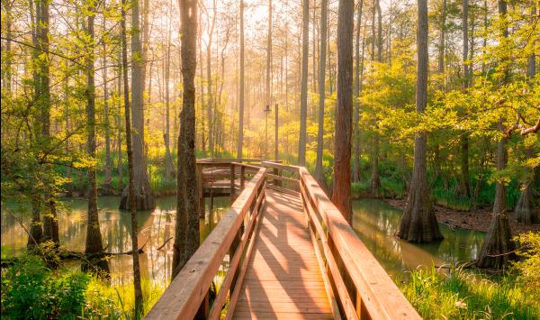 Enjoy scenic walking trails throughout the community