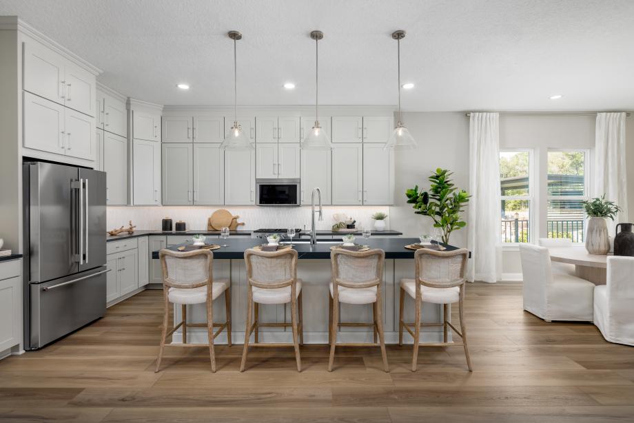 Regency at Lake Hills - Solara Collection