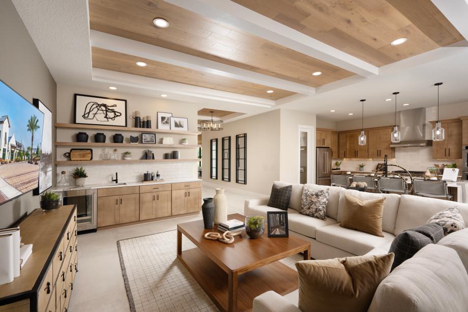 Regency at Lake Hills - Vines Collection