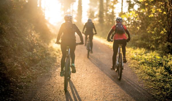 Direct access to the Mountains-to-Sea trails and nearby access to miles of popular bike trails