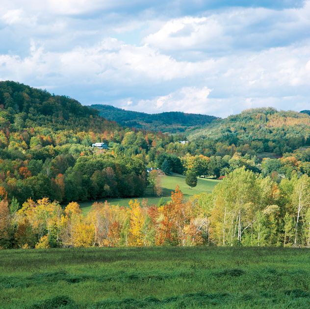 Homes For Sale On Weatherstone Drive Paoli Pa Homes For Sale On Weatherstone Drive Paoli Pa