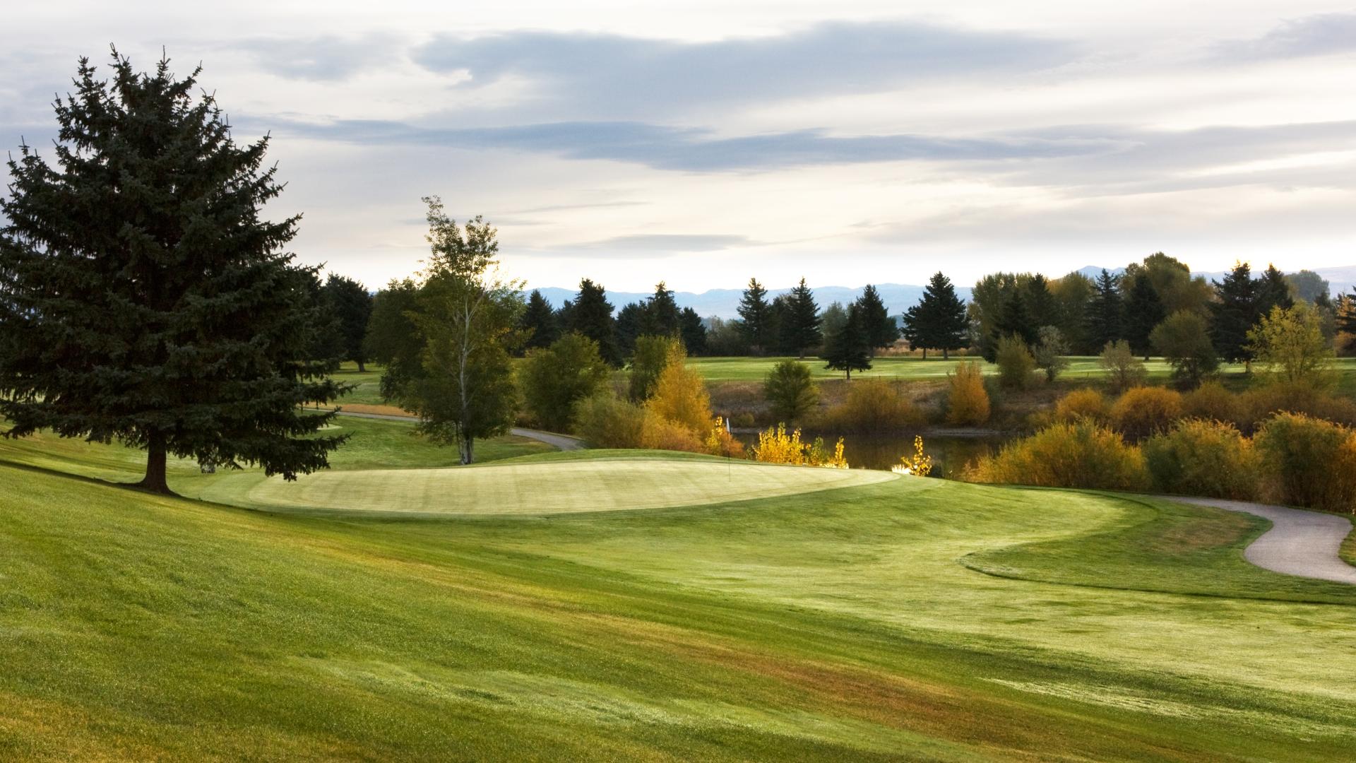 Greens at Royce Brook