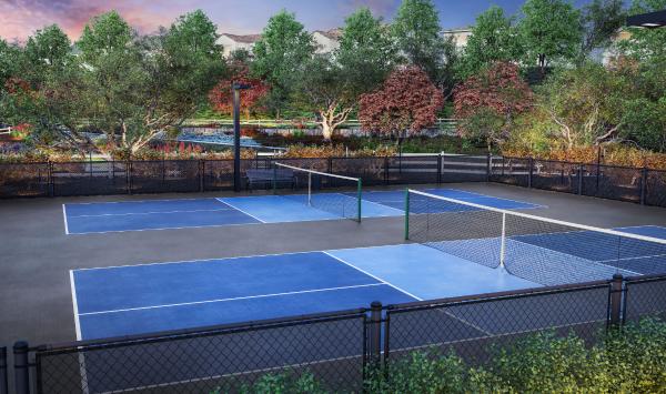 Pickleball court