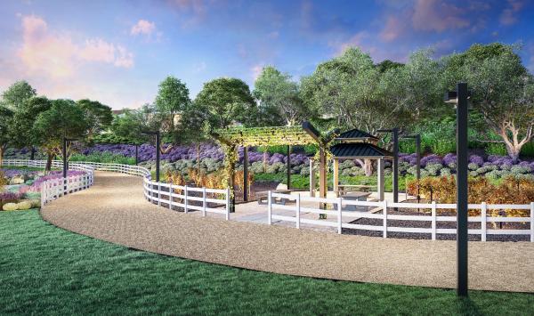 Picnic areas