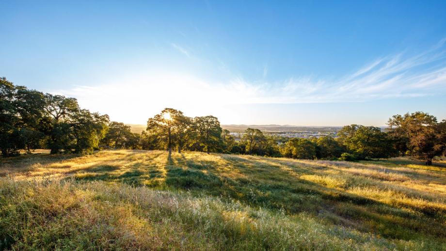 Toll Brothers - Toll Brothers at Bickford