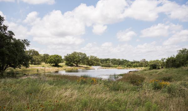 Explore natural beauty among the community's numerous parks, trails, and fishing lakes