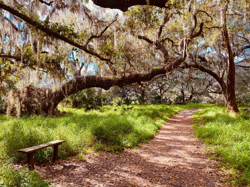 Toll Brothers - Toll Brothers at Bellflower