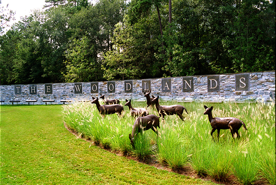 Toll Brothers - The Woodlands Photo