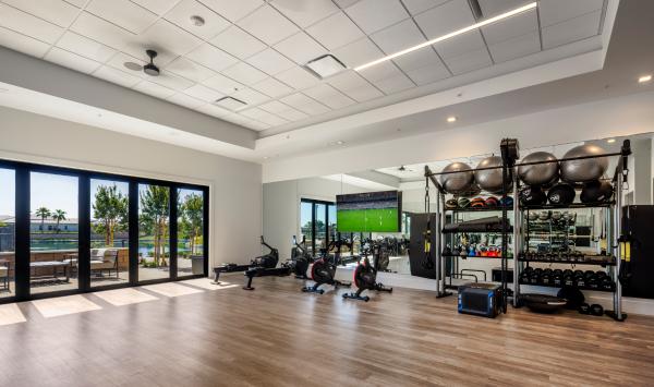 Multipurpose movement studio