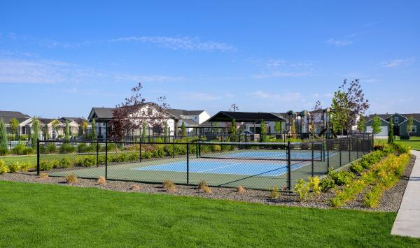 Pickleball courts