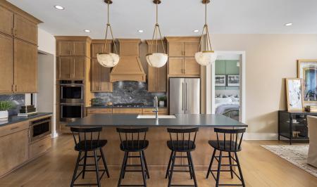 Vista Ridge by Toll Brothers