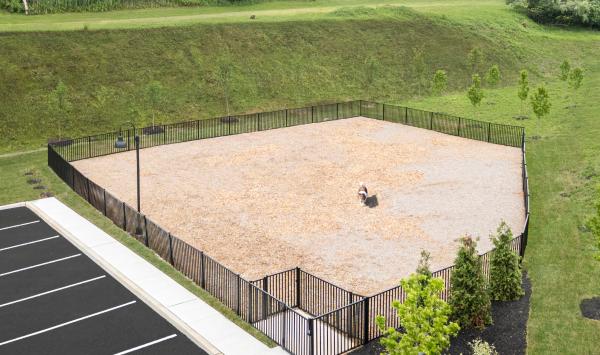 Dog Park