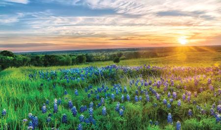The Ranch at Uptown Celina