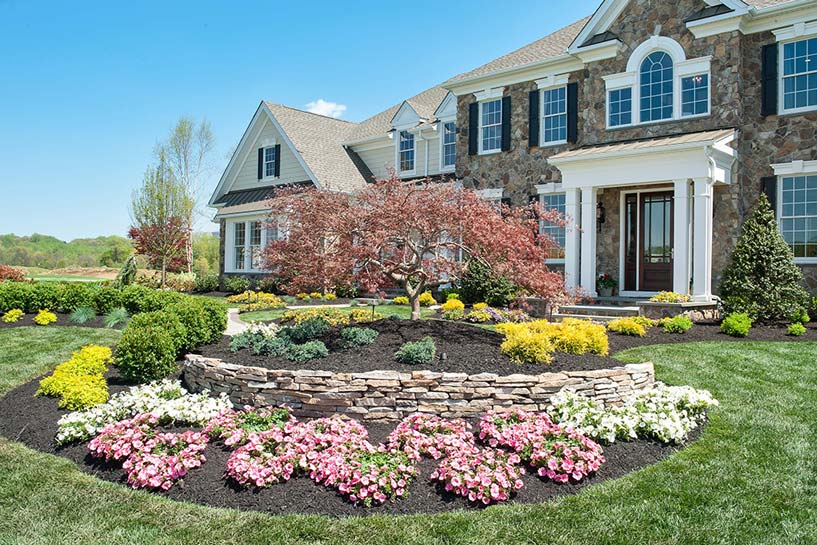 Custom planting example