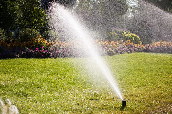 Irrigation system watering a lawn