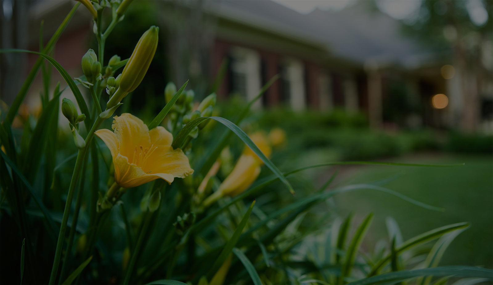 3D rendering of an outdoor living space