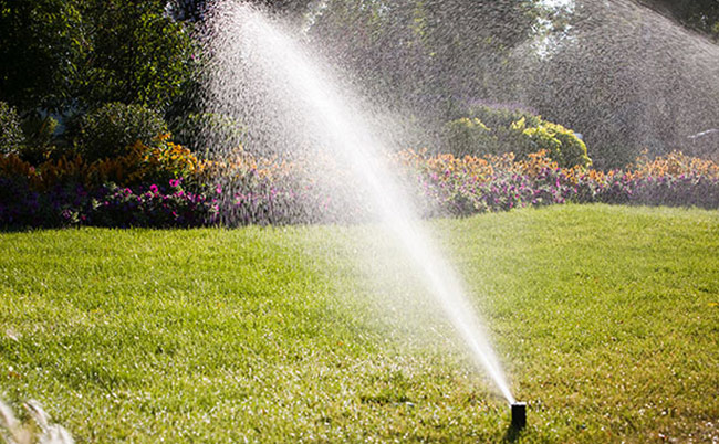 Irrigation system watering a lawn