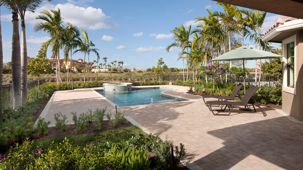 Backyard view and swimming pool with jacuzzi and sun shelf