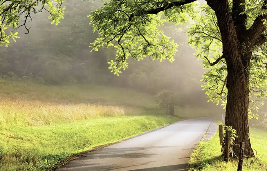 The Manors at Lake Ridge