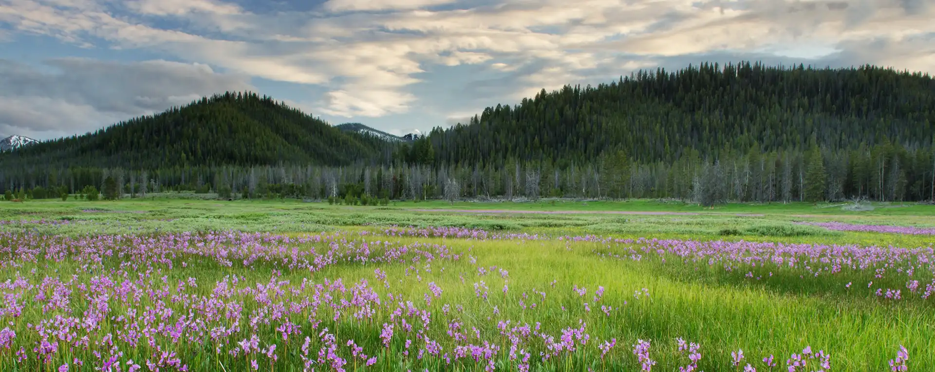 Mountins in Star, ID